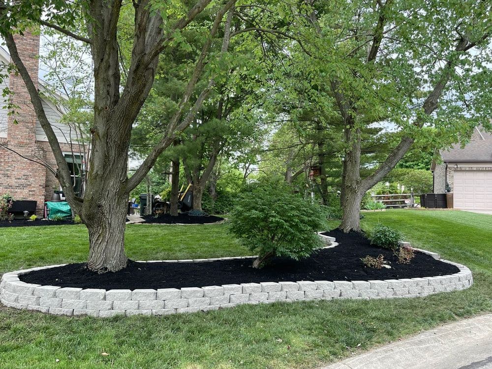 Lush garden featuring trees and landscaped black mulch around a curved stone border.
