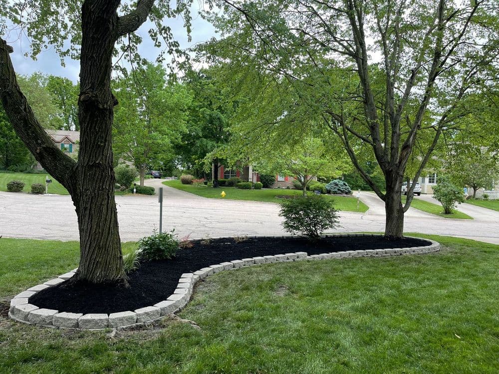 Curved stone garden bed with black mulch, surrounded by trees and a suburban street view.