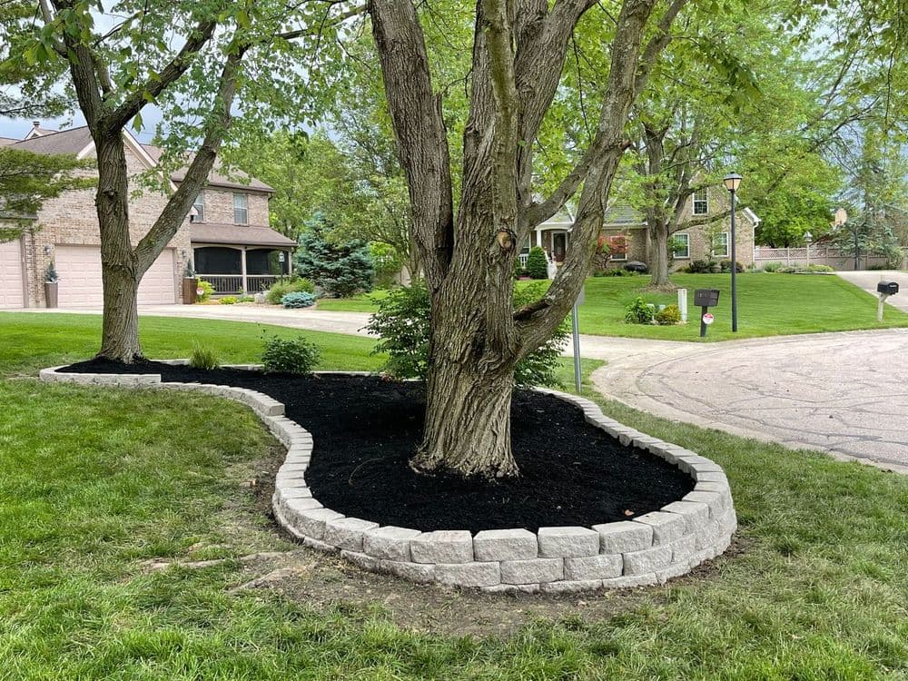 Landscaped tree bed with stone border and black mulch in a residential neighborhood.
