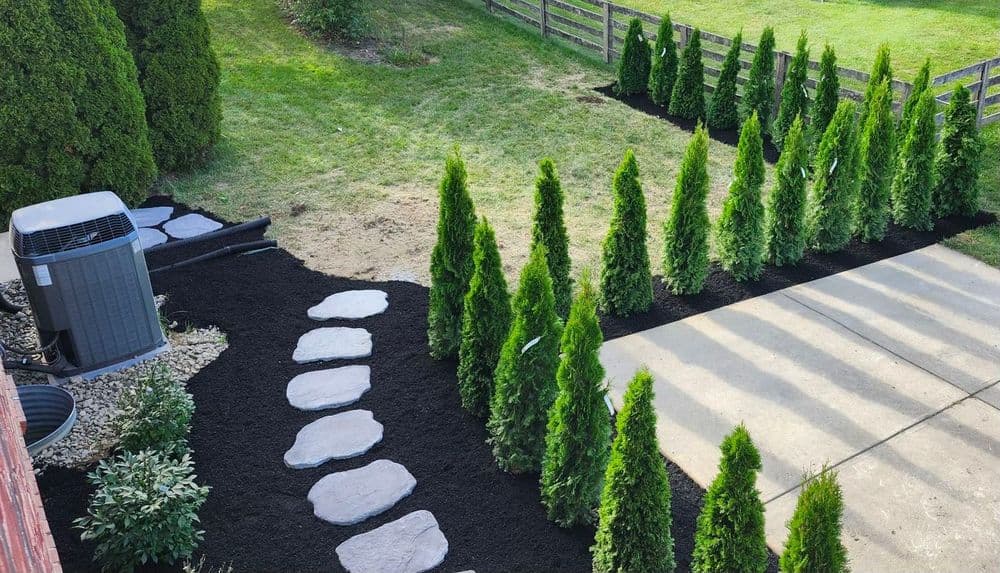Lush garden featuring pathway, evergreen shrubs, and mulch landscaping near a driveway.