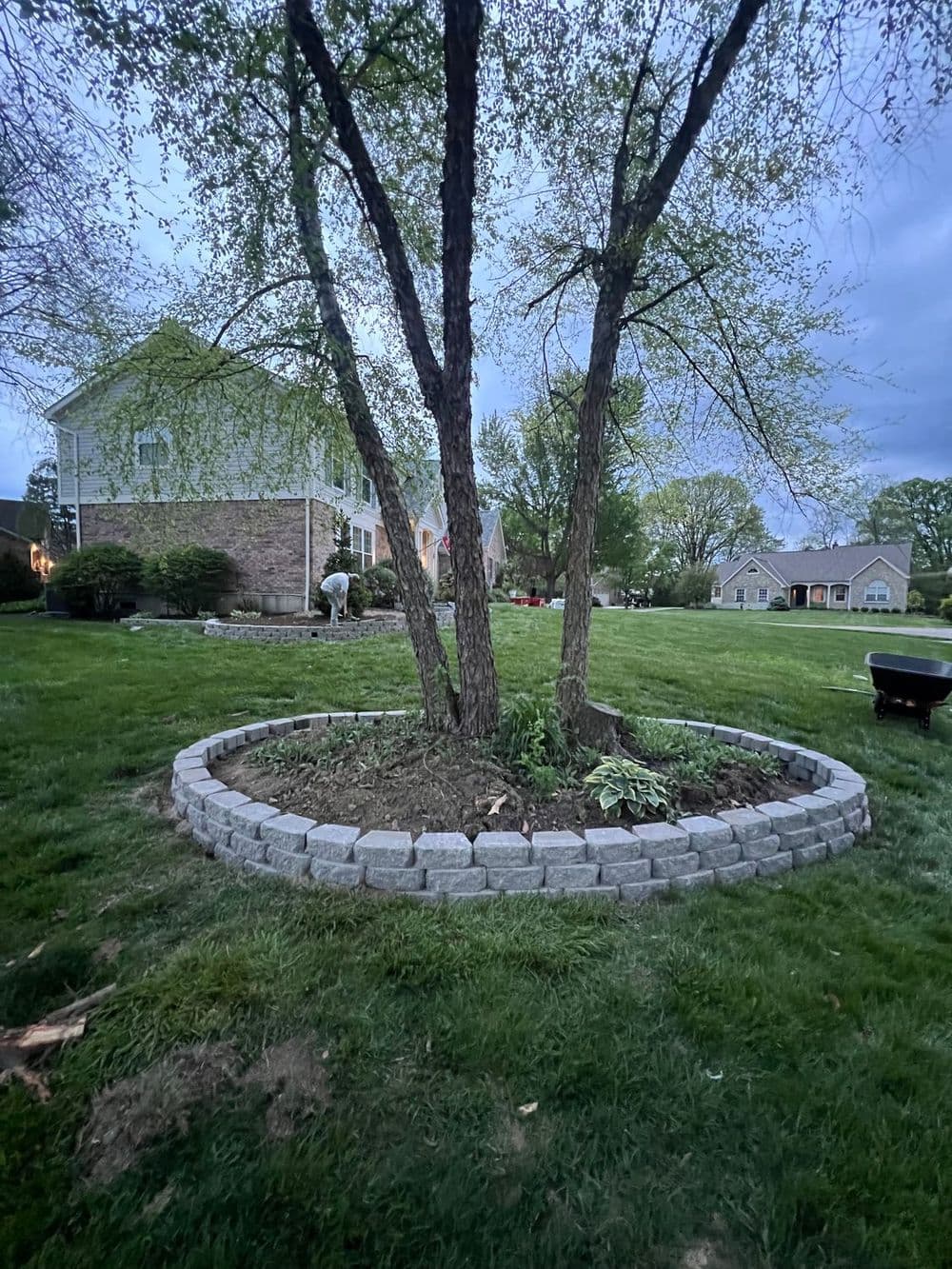 Tree surrounded by a stone garden border, with a house and lawn in the background at dusk.
