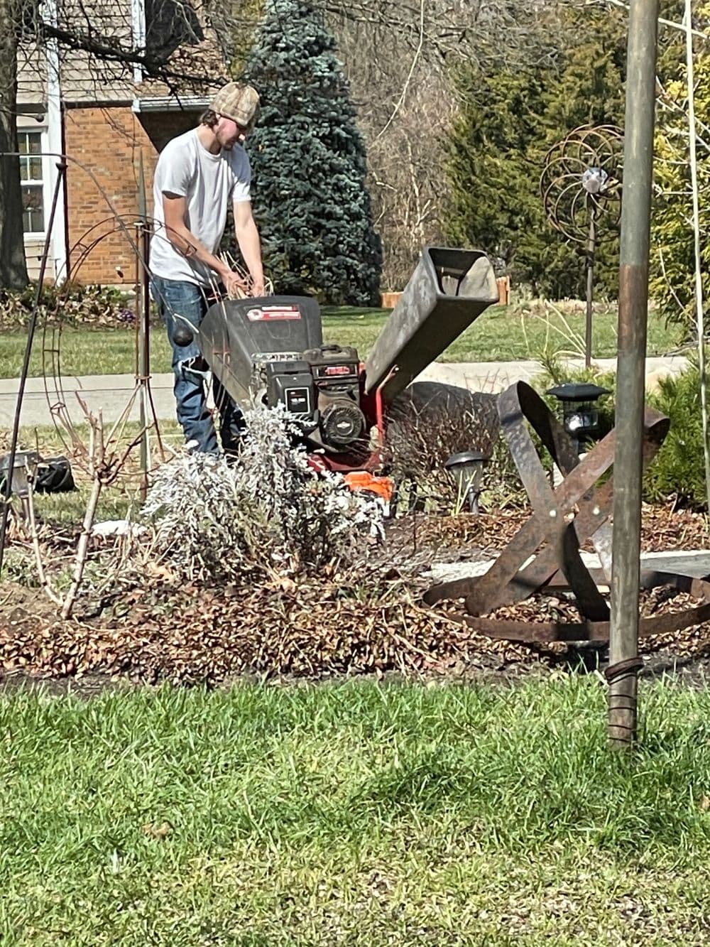 Man using a wood chipper in a garden with brown mulch and green grass.