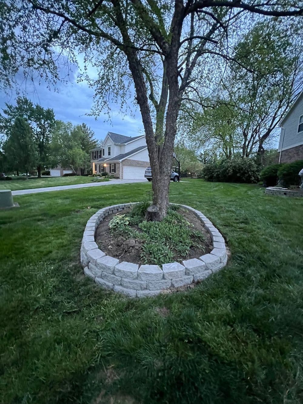 Tree surrounded by a stone landscaping circle in a residential yard at dusk.