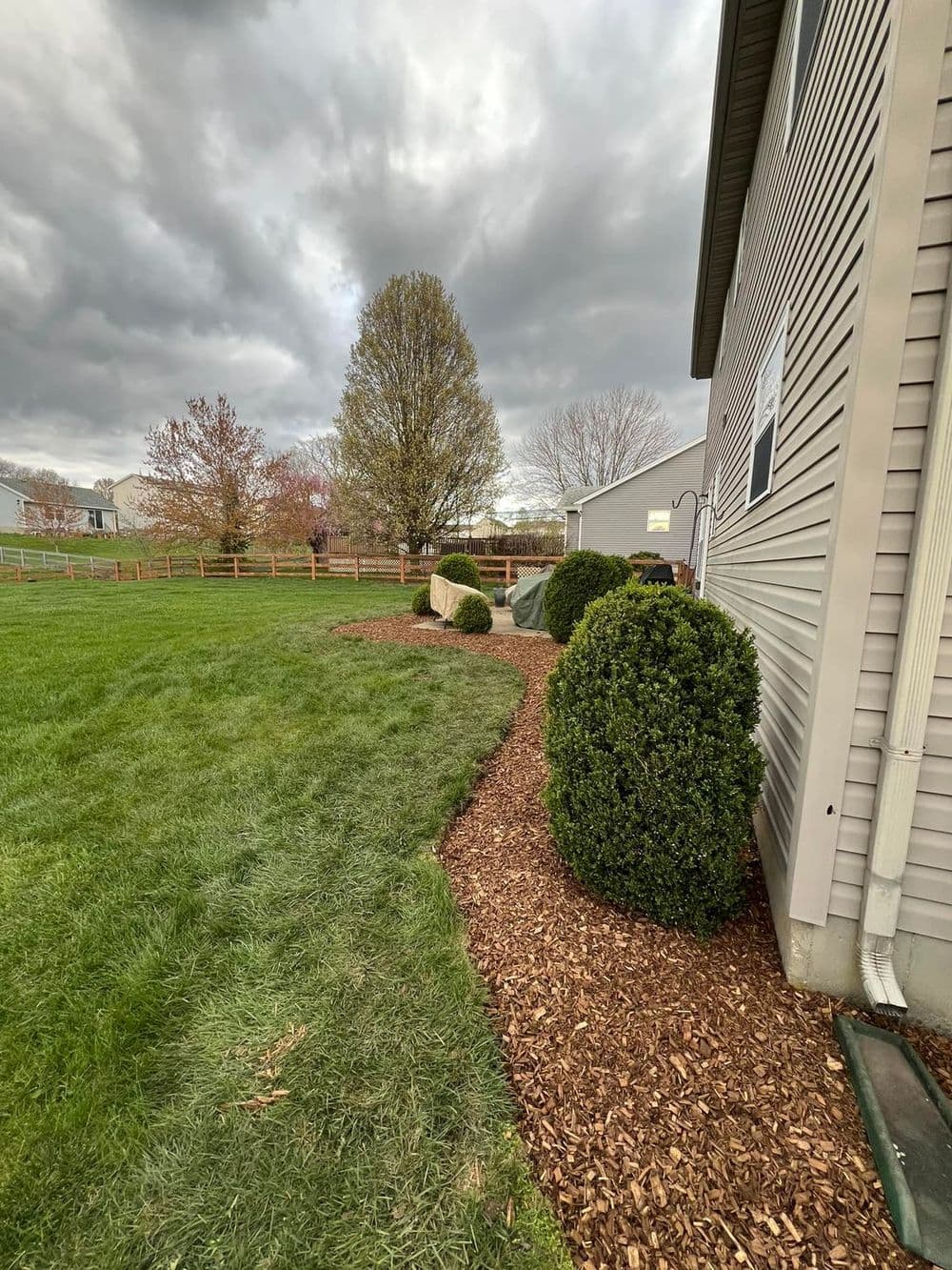 Landscaped yard with shrubs and mulch, cloudy sky in the background, home exterior visible.