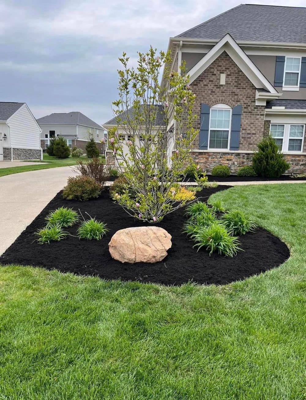 Landscaped garden with black mulch, a ornamental tree, and decorative rocks near a house.