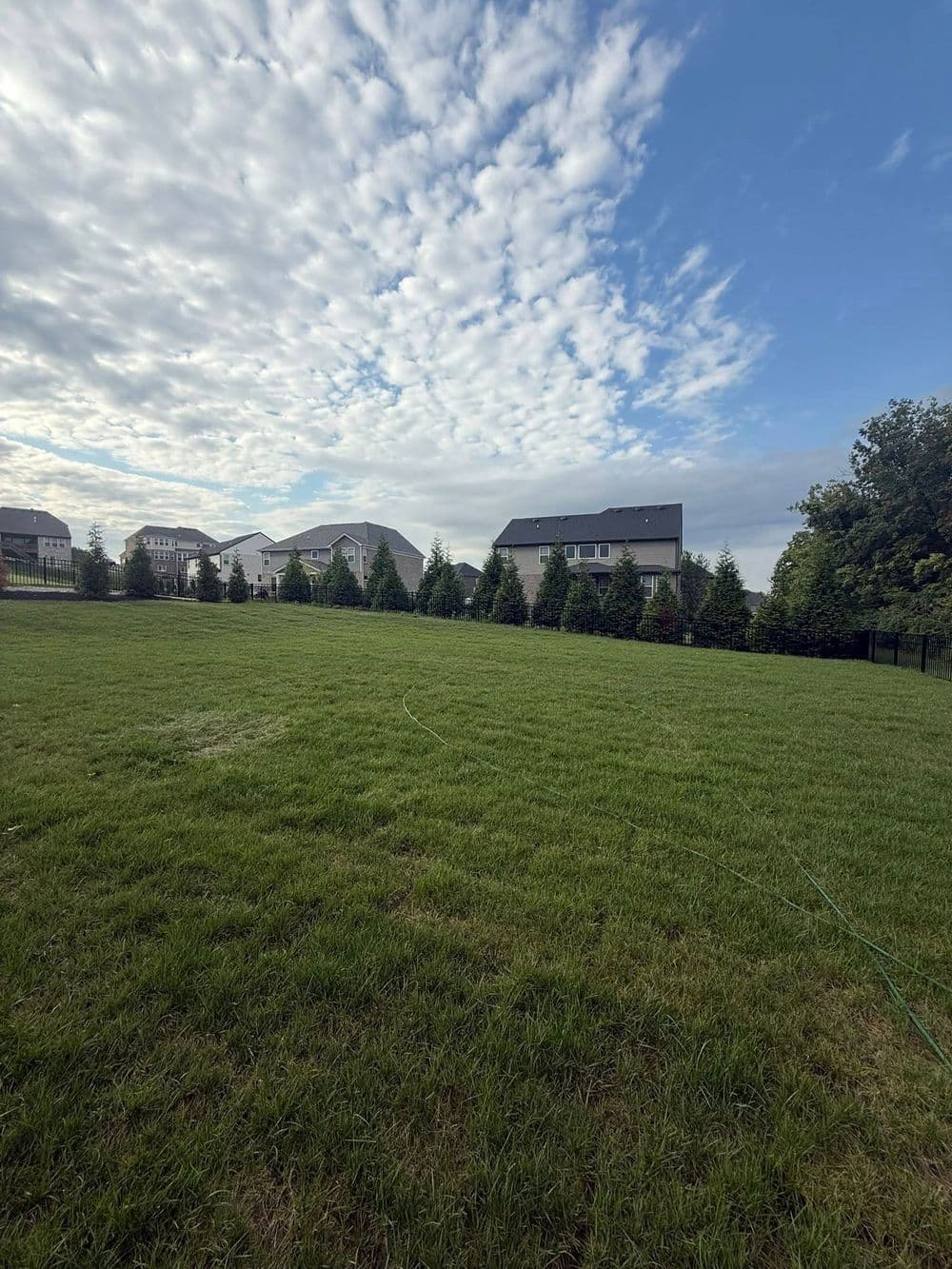 Expansive green lawn with residential homes and cloudy sky in the background.